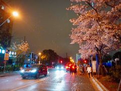 -永乐路-路侧停车场