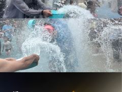 -西双版纳傣族园