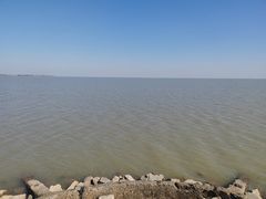 -泗洪洪泽湖湿地景区