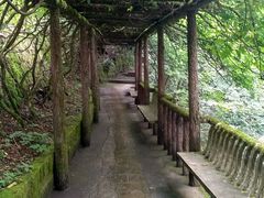 -黄山温泉国际旅游度假区