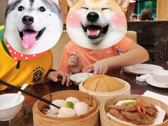 -清远恒大酒店·寻味清远