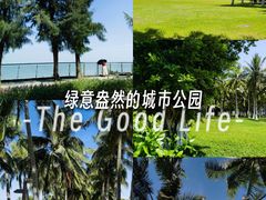-万绿园