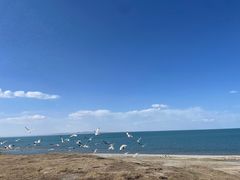 -青海湖国家重点风景名胜区