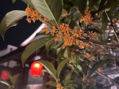 -山水一号·中餐厅