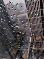 -净漪造型 PURE RIPPLE