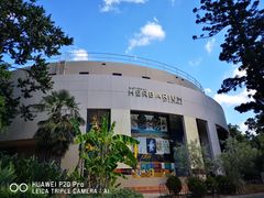 -墨尔本皇家植物园