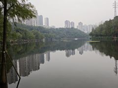 -重庆彩云湖湿地公园
