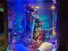 -沈阳海洋探索中心