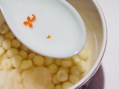 -新荣记(BFC外滩金融中心店)