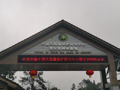 -中国大熊猫保护研究中心雅安碧峰峡基地