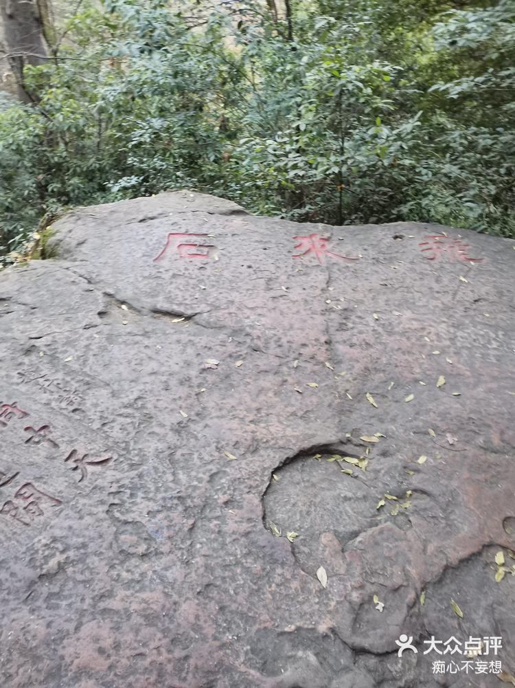 岳麓山飞来石图片