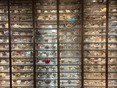 -华庭(澳门伦敦人店)