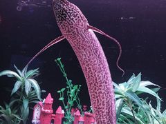 -南京海底世界