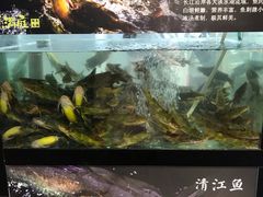-小小河边鱼(天润城店)