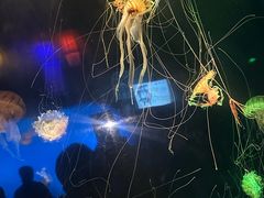 -太平洋海底世界