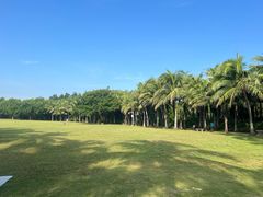 -深圳湾公园(南山区)
