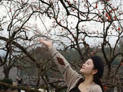 -楠溪江风景名胜区