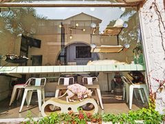 -有猫主题·治愈系猫咖(曾厝垵店)