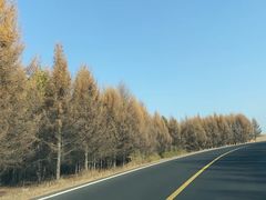 -塞罕坝国家级自然保护区