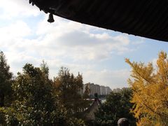 -月栖华明-云间草堂清茶馆(泗泾古镇店)
