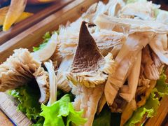 野生鸡枞菌-云上珍野生菌(兴仁店)