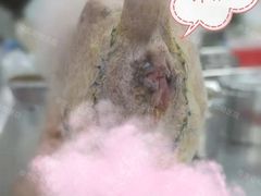 -瑞派申生动物医院·24H夜诊·国际动物医疗中心·骨外科(吴中路店)