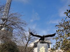 -老山国家森林公园
