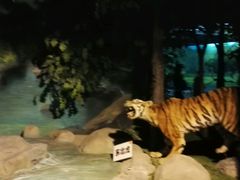 -吉林省自然博物馆