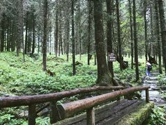 -硗碛藏寨·神木垒景区