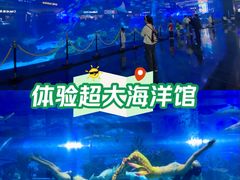 -成都浩海立方海洋公园