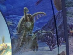 -房山世界地质公园博物馆