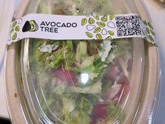 -油梨树AVOCADO TREE(望京店)