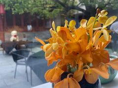 -止观小馆·辽河口渔家菜(王府井店)