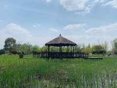 -梁鸿国家湿地公园