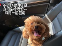 -星巴克臻选(广州二沙岛文立方店)