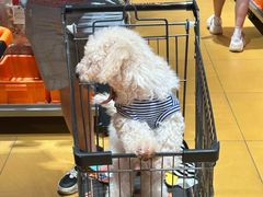 -MARSMART PETS火星宠物超市(1733店)