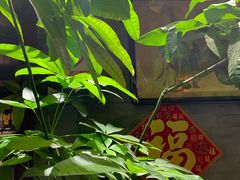 -万柳阁小馆·花园餐厅(龙潭湖店)