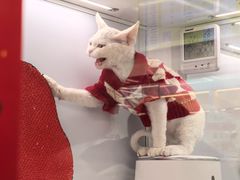 -鹏欣水游城
