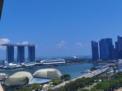 -新加坡瑞士史丹福酒店