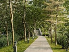 -四海公园(南山区)