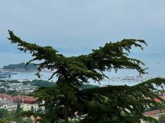 -信号山公园