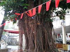 -牛杂大叔(园岭总店)