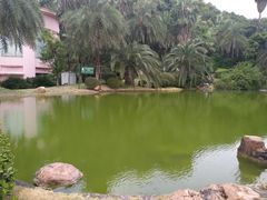 -圣爵菲斯大酒店(长沙世界之窗店)