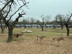 -西安秦岭野生动物园