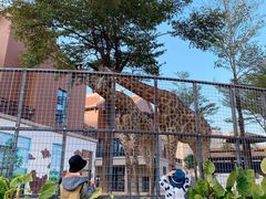 -灵玲国际马戏城