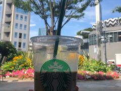 -STARBUCKS COFFEE(Roppongi Keyakizaka-dori)