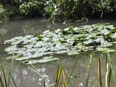 -洛阳市隋唐城遗址植物园