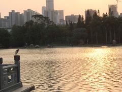 -荔枝公园(福田区)