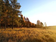 -塞罕坝国家级自然保护区