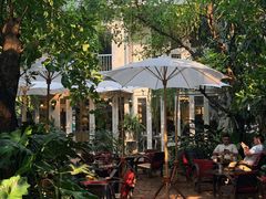 -Fern Forest Cafe